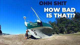 High and dry  Ferro ￼cement sailboat on the beach [upl. by Xanthus]