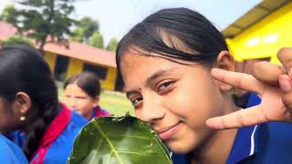 दुना टपरी बनाऊने तालिम Tapari Bunne talim school ma  Mahesh Adhikari learning with students [upl. by Brynn]