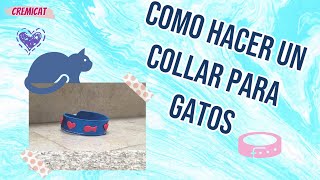 Cómo hacer un collar para gatos 🐱❤️ [upl. by Suraved]