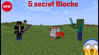 Secret Blocks Minecraft Java 120 [upl. by Yatnod]