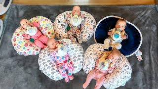 How We Feed Five Babies  Freels Quintuplets  Goat Milk Formula Our 27 Week Preemies Are Thriving [upl. by Engleman703]