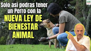 😳 SOLO ASI PODRAS TENER UN PERRO EN ESPAÑA CON LA NUEVA LEY DE BIENESTAR ANIMAL 😳 [upl. by Pulcheria837]