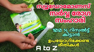 സുഡോമോണസ് സർവ രോഗ സംഹാരി  100 റിസൾട്ട് കിട്ടാൻ ഉപയോഗിക്കേണ്ട രീതികൾ  Pseudomonas use A to Z [upl. by Franklyn]