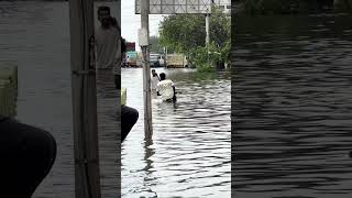 Velachery after Michaung Cyclone trending chennai rain cyclone weather flood waterlogging [upl. by Perl]