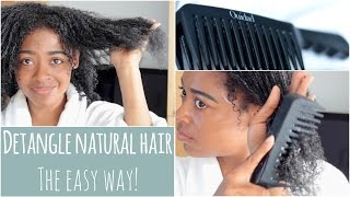 THE Best Styling Tool to Detangle Natural Hair  How to Care for Natural Hair [upl. by Adelice802]