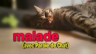 Malade avec Parole de Chat [upl. by Adnalahs879]