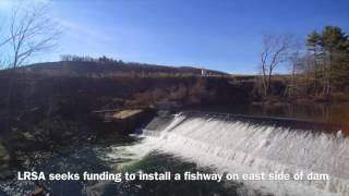 Aerial Footage of Parryville Dam on Pohopoco Creek [upl. by Yellac240]