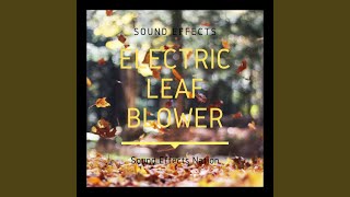 Electric Leaf Blower Sound Effects [upl. by Ellek]