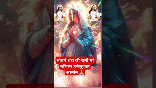 Sowarg dhara ki rani maa mariyam hallelujah 🙏🏻ytshortsshotsvairalvideoshortfeedtrendingvideo [upl. by Nylecyoj]