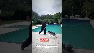 Robot anjing senilai 100000 ishowspeed shorts feedshorts ishospeed robot [upl. by Anyal]