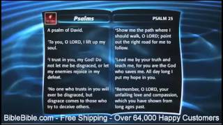 NLT New Living Translation on DVD Video Bible Deluxe Edition [upl. by Aihsined]