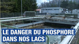 Le danger du phosphore dans nos lacs [upl. by Gwyn289]