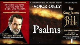 19  PSALM  SCOURBY AUDIO BIBLE KJV  quotThy Word is a lamp unto my feetquot Psalm 119105 [upl. by Ianthe]