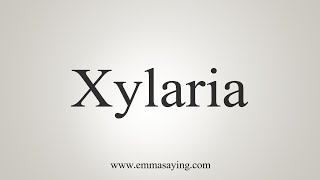 How To Say Xylaria [upl. by Notlrac779]