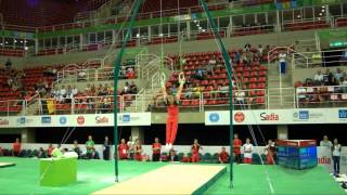 VERBAEYS Jimmy BEL  2016 Olympic Test Event Rio BRA  Qualifications Rings [upl. by Hardigg]