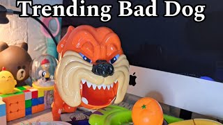 ASMR🌈DROPPING FRUITS FOR MAD DOG 💥SATISFYING PLAYTIME▶️ trending [upl. by Fidele]