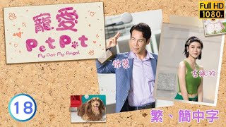 TVB愛情喜劇線上看  寵愛Pet Pet 1820  周嘉洛聲仁打算向古佩玲敏莉提出分手 林夏薇 周嘉洛 粵語中字 2003 My Pet My Angel [upl. by Seleta555]