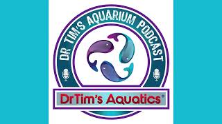 Toxicity in Aquariums [upl. by Libb]