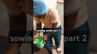 sowing seeds part 2 বীজ বপন seeds sowing [upl. by Yevoc]