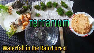 Waterfall in the Rain Forest  Terrarium  Amazing Craft [upl. by Nosredna]