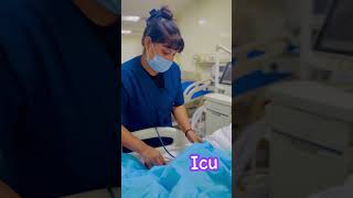 Icu ventilator patient care hospital doctor hospitalmedicine hospitalemployee nursing [upl. by Asirem703]