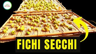 Fichi Secchi  ECCO Come ESSICCARE I FUCHI AL SOLE [upl. by Nary]