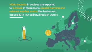 Climate change and Vibrio bacteria in seafood [upl. by Mich]