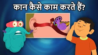 कान कैसे काम करते हैं  How Your Ears Work In Hindi  Science Of Ears  Binocs Ki Duniya [upl. by Gulick]