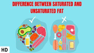 Saturated vs Unsaturated Fats [upl. by Enyawd]