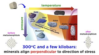 Origin of Metamorphic Rocks [upl. by Velma]