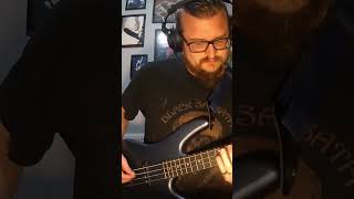 Reptilia Bass Cover bass behringer oneodio ibanez thestrokes [upl. by Afrika]