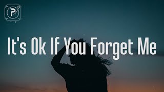 Astrid S  Its Ok If You Forget Me Lyrics [upl. by Anivle811]