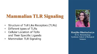 Mammalian TLR Signalling for CSIRNET [upl. by Ahsit]