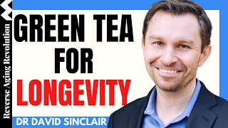 GREEN TEA FOR LONGEVITY  Dr David Sinclair Interview Clips [upl. by Acey525]