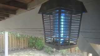 Wasps vs Electric Bug Zapper near Dayton Oregon [upl. by Yltsew]