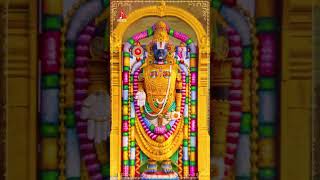 Chilkur Balaji Songs Telugu  Chilukuri Maa Balaji Song  Venkateswara Swamy Songs  Amulya Audios [upl. by Budworth]