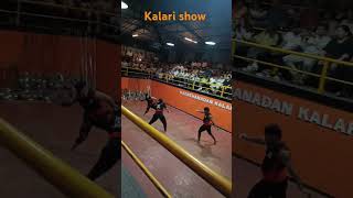 Kalari show Thekkady [upl. by Poler]