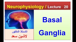 Basal gangliaLashin Saad دلاشين [upl. by Wengert]