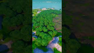 Destroying Wailing Woods 😈 fortnite [upl. by Ralip]