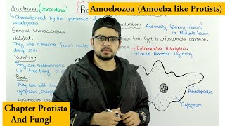 Animal like protists  Amoebozoa Sarcodina Chapter Protista [upl. by Irrab]