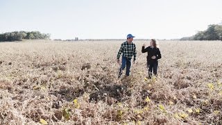 Completing the 100Bushel Soybean Challenge with BASF [upl. by Susan]