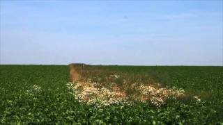 Biodiversité en Champagne crayeuse [upl. by Sayles]