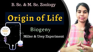 ORIGIN OF LIFE Part3  Biogeny  Evolution  B Sc amp M Sc Zoology [upl. by Saw]