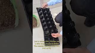 Nursery seedling trays [upl. by Ytsirhk]