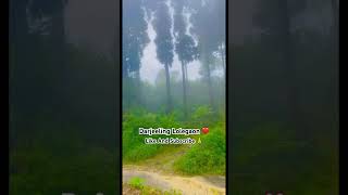 Darjeeling Lolegaon ❤️reels viralvideo viralshort likeandsubscribe [upl. by Cerys]