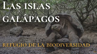 🇪🇨 LAS ISLAS GALÁPAGOS  Refugio de la biodiversidad [upl. by Berner]