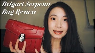 【测评系列2】Bvlgari Serpenti Bag Review宝格丽蛇头包测评 [upl. by Rodoeht]