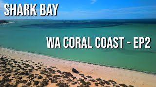 WA Coast Trip Ep2  Shark Bay [upl. by Iv492]