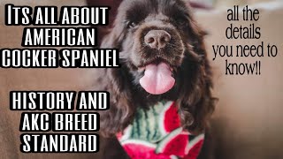 American Cocker Spaniel Official Breed Standard  AKC [upl. by Clementis]