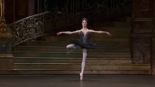 Coda Swan Lake ROH Marianela Nuñez fouettes [upl. by Atnima]